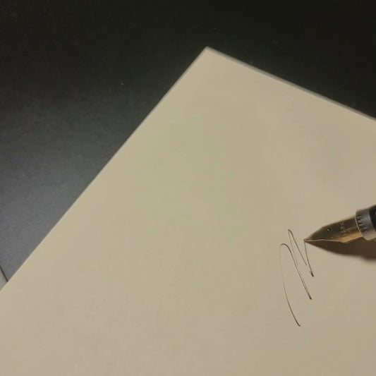 [+ you] Limited 24oz